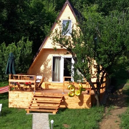 Cabana Din Livada Pucioasa Exteriör bild