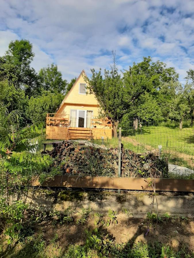 Cabana Din Livada Pucioasa Exteriör bild