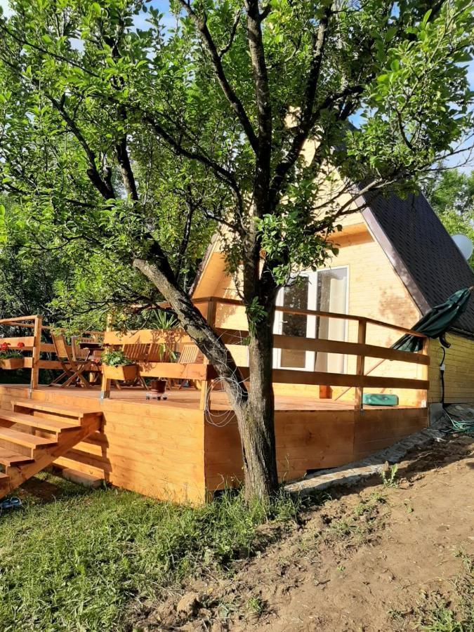 Cabana Din Livada Pucioasa Exteriör bild